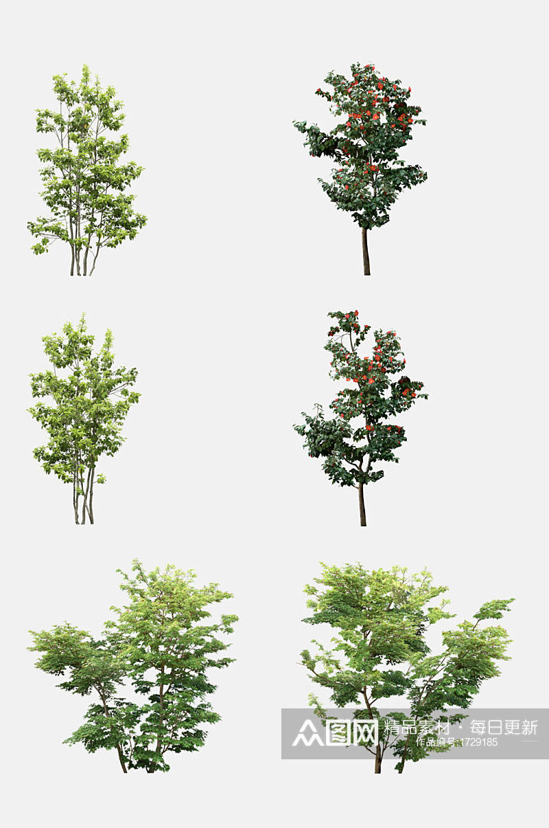 植物树木大树小树免抠元素素材
