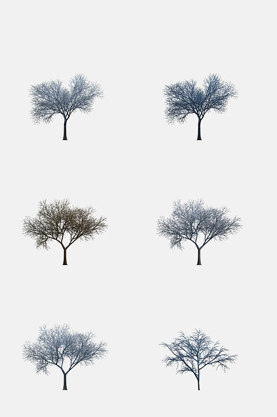 高清植物写实树木免抠元素素材
