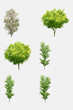 景观素材植物树木免抠元素