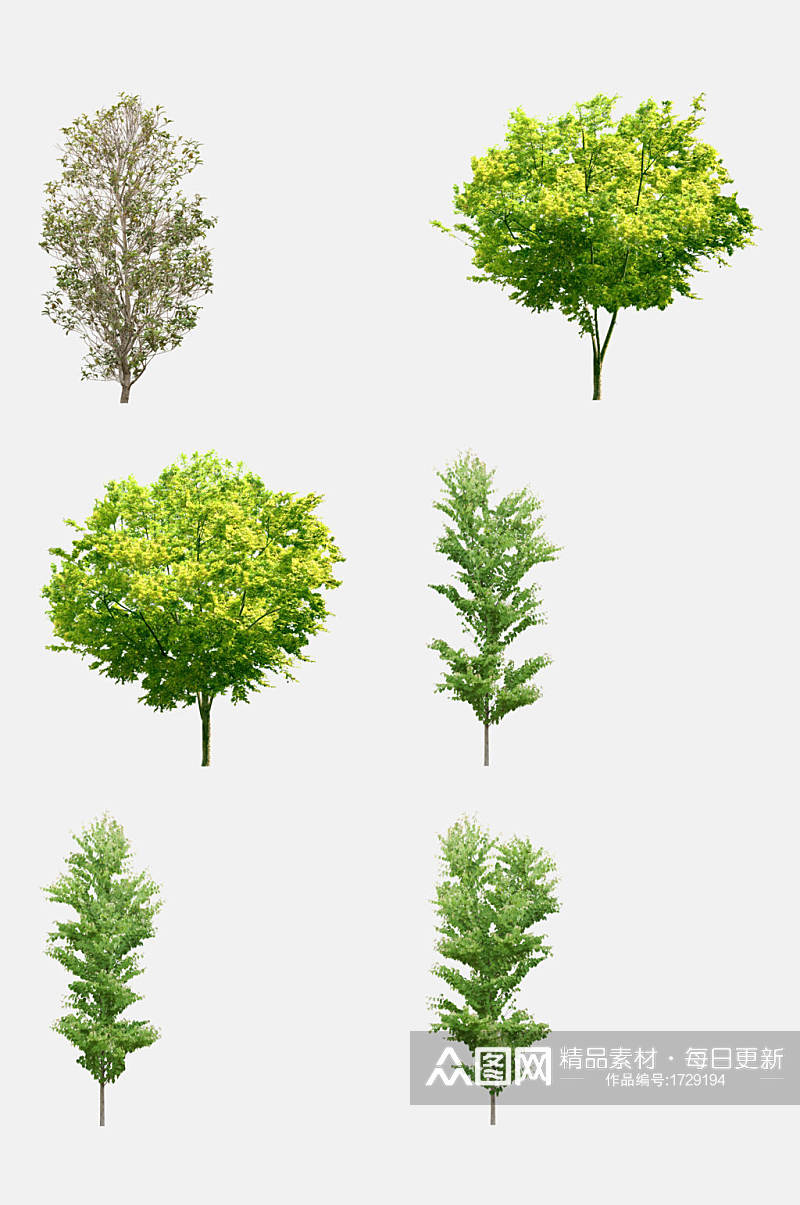 景观素材植物树木免抠元素素材