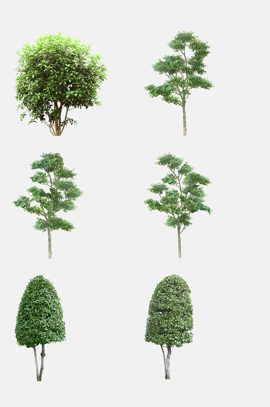 植物树木生长免抠元素素材