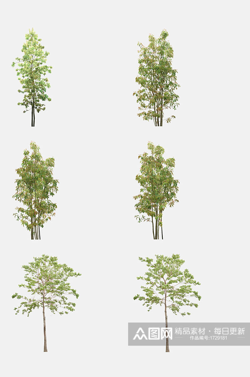 景观素材植物树木免抠元素素材
