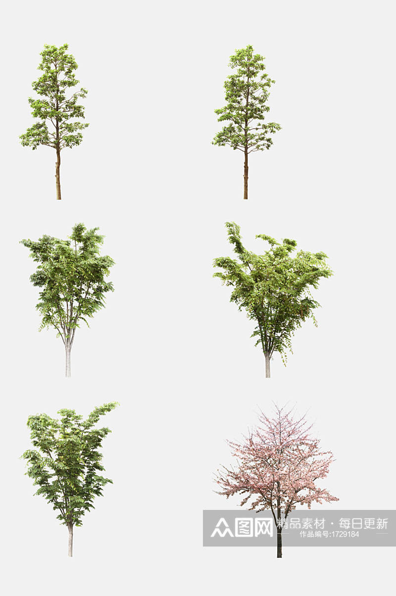 植物树木大树小树免抠元素素材