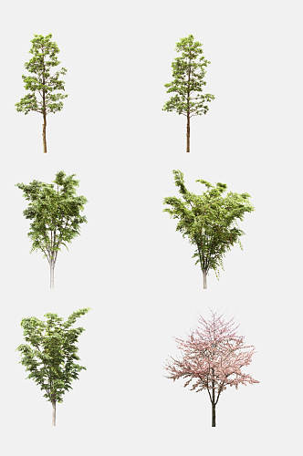 植物树木大树小树免抠元素