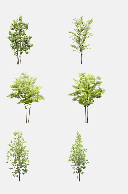 绿色树木免抠图片-绿色树木免抠素材下载-众图网