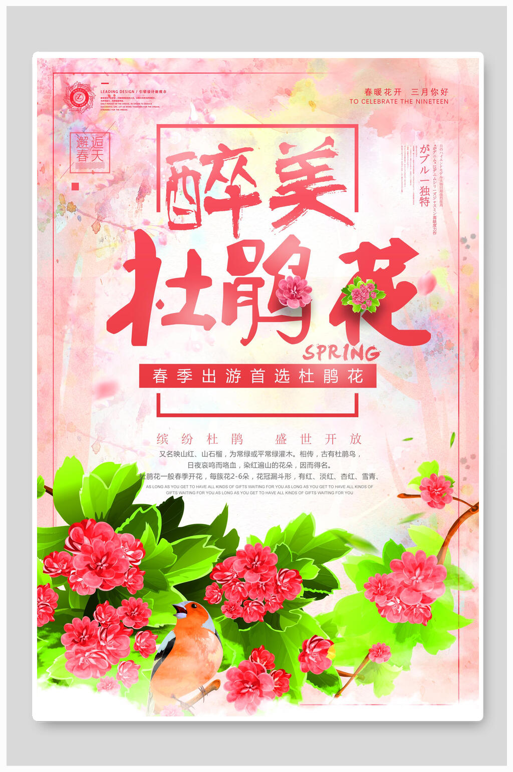 春天醉美杜鹃花樱花节海报素材