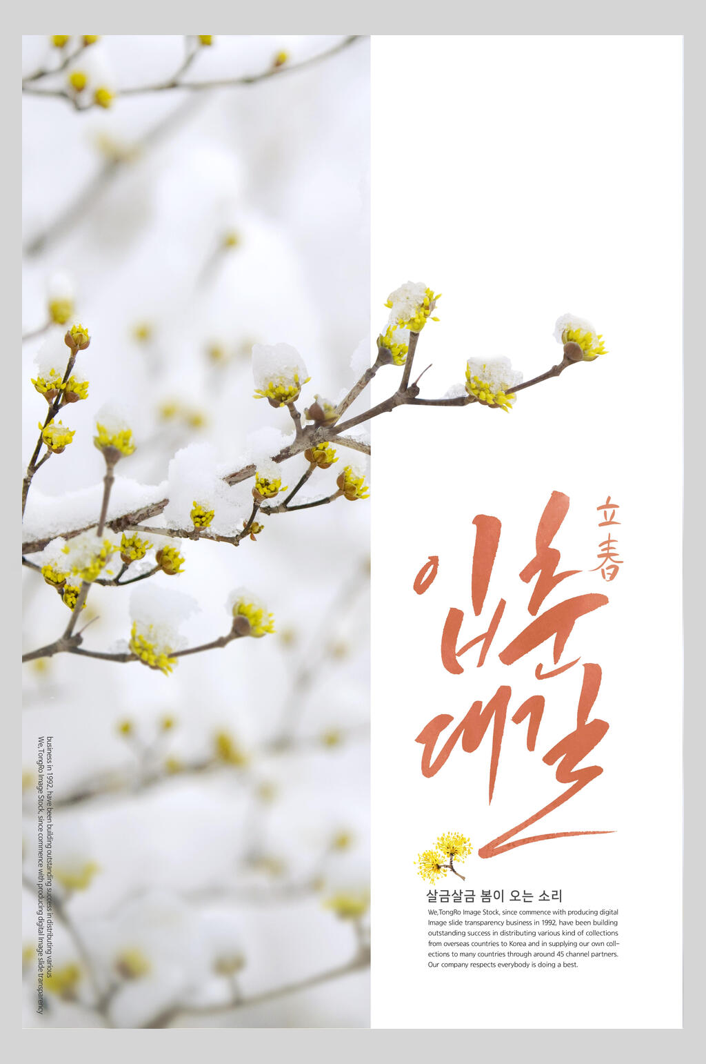 鲜花创意节气立春海报素材