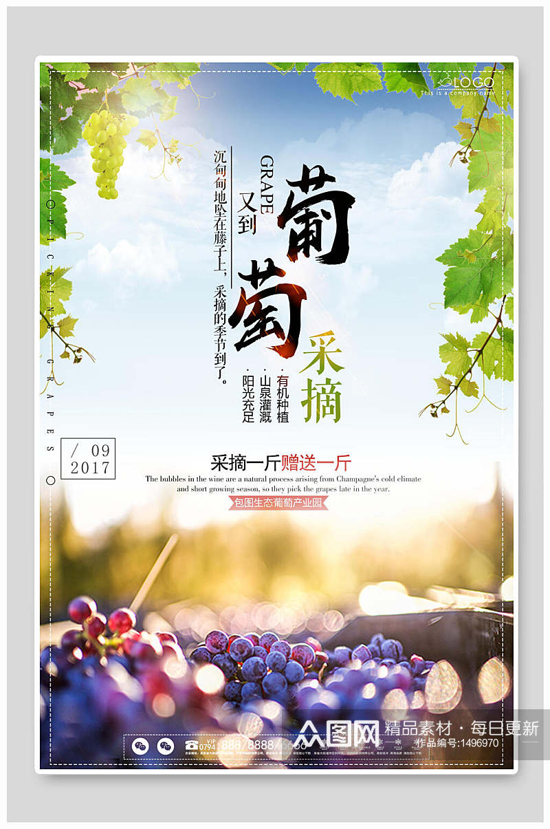 葡萄采摘食品优惠海报素材