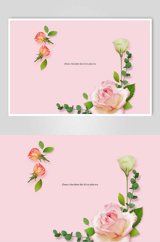 玫瑰花卉海报设计-众图网