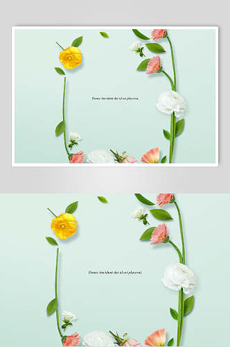 雏菊花卉海报设计