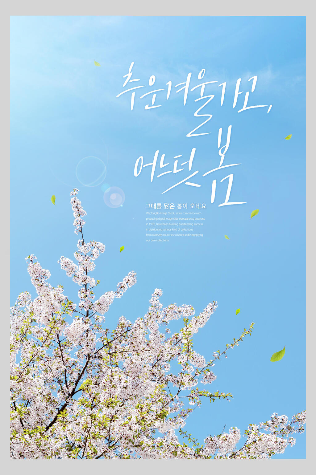 浪漫鲜花创意桃花节春天海报素材