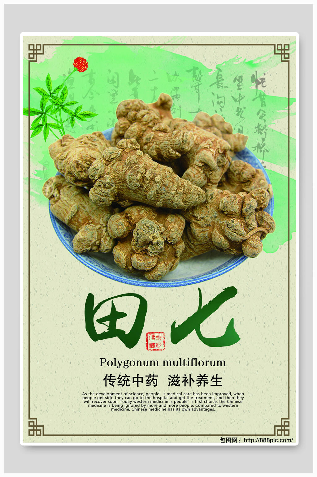 中药田七食品海报素材