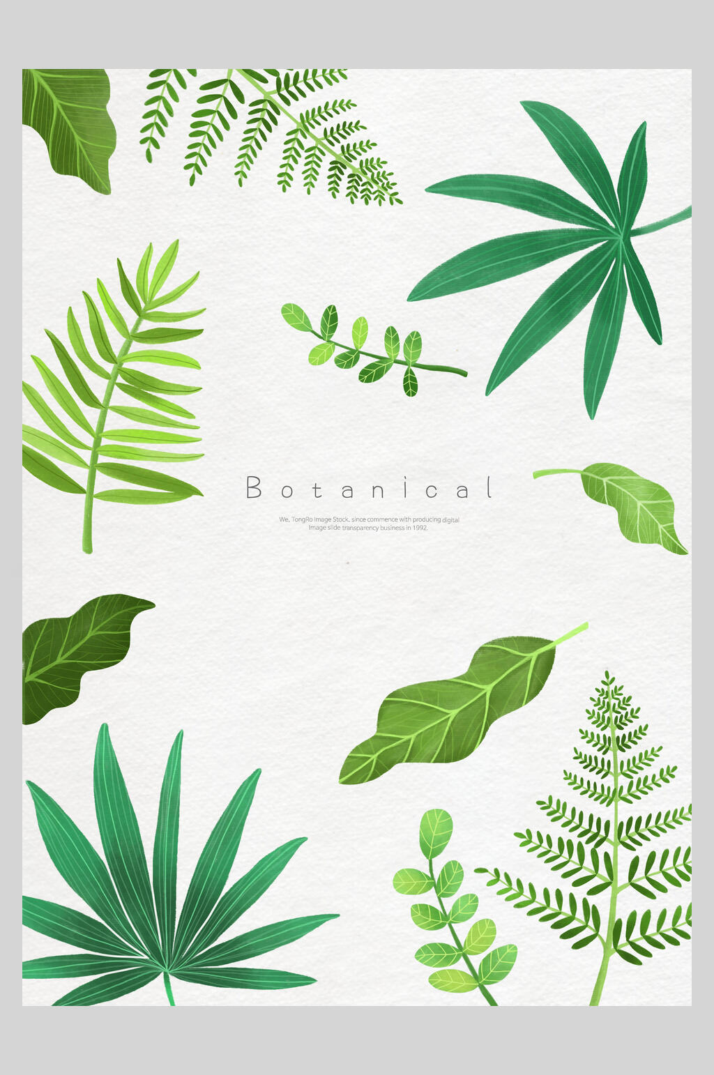 热带植物鲜花植物插画素材素材