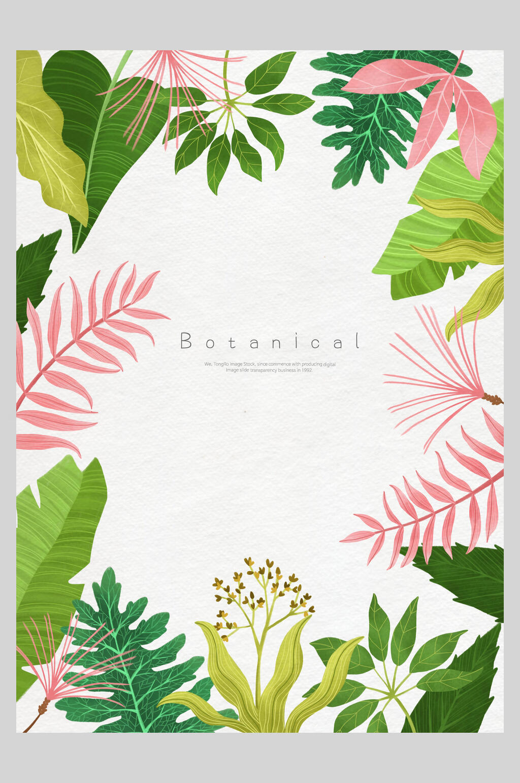热带植物鲜花植物插画素材素材