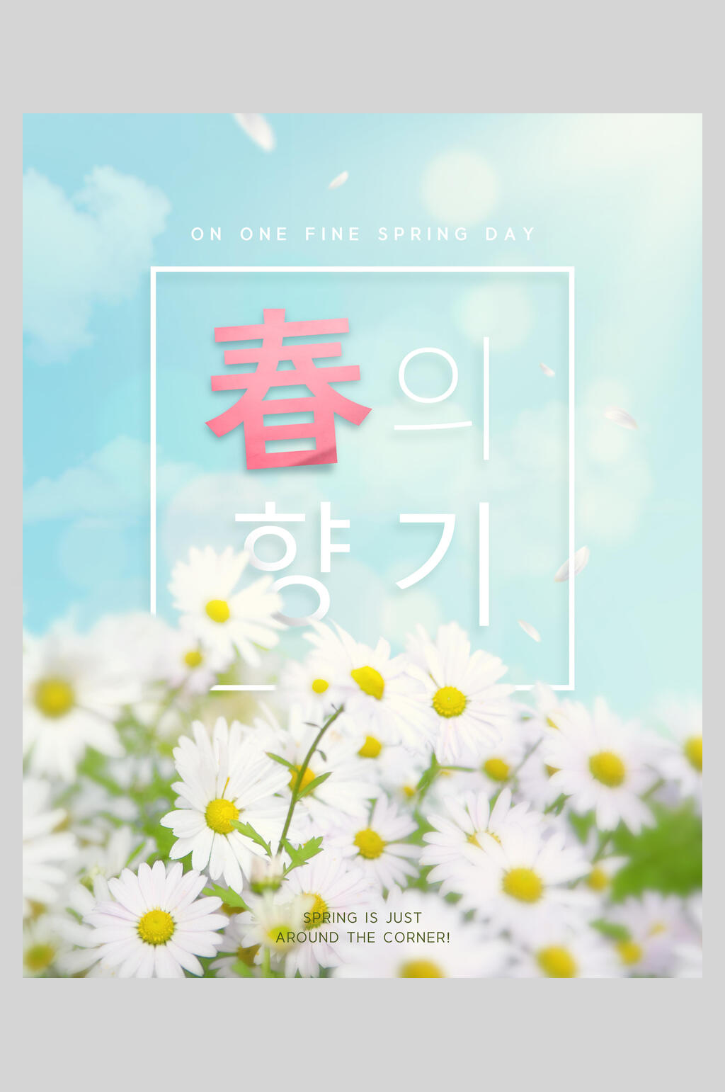 韩式鲜花创意春意海报素材