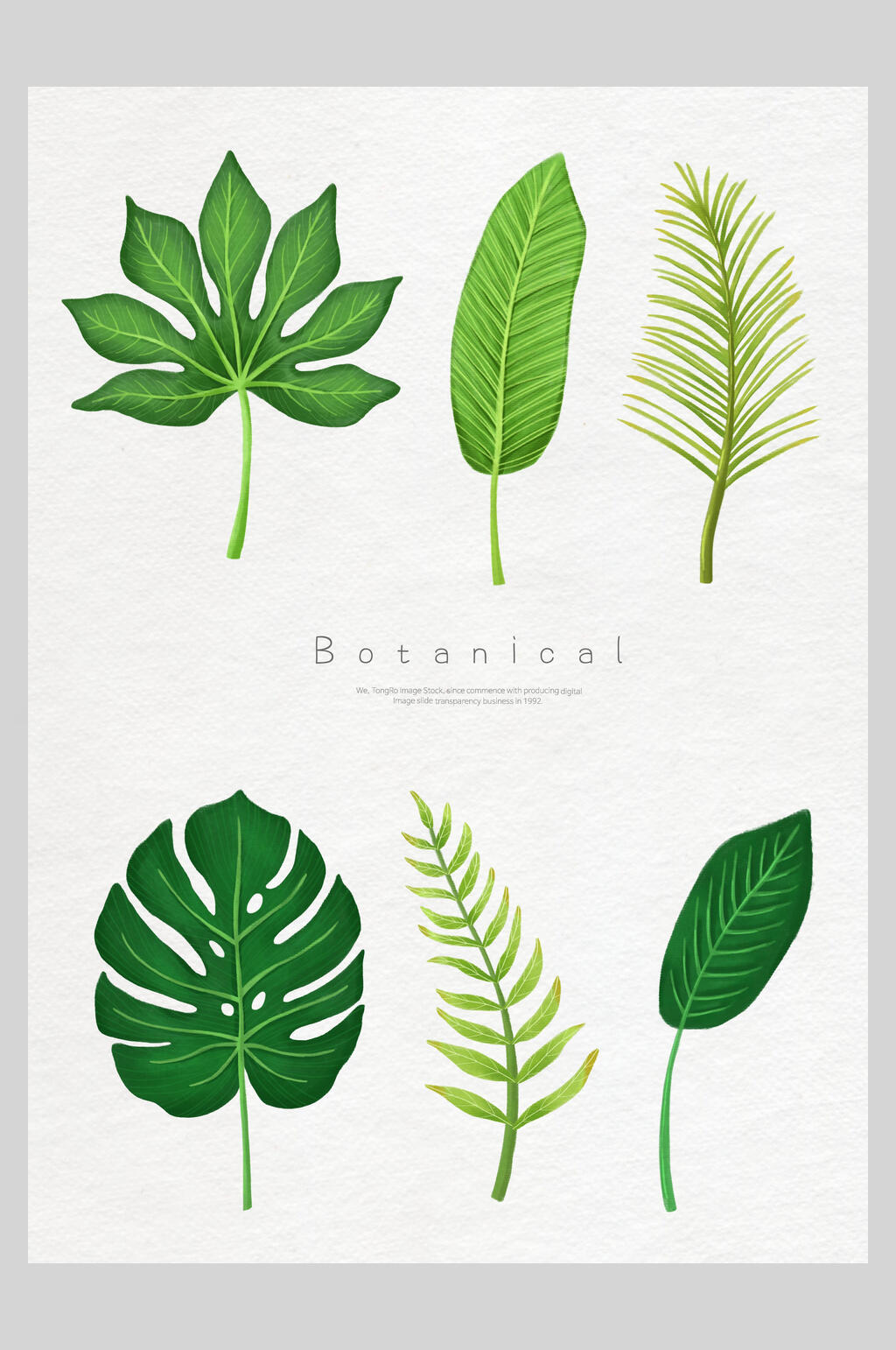 绿色树叶鲜花植物插画元素素材