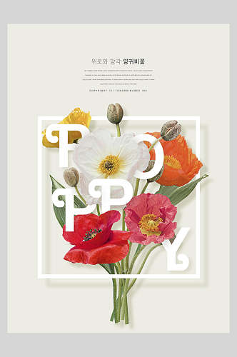 海棠花鲜花创意海报