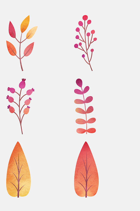 水彩手绘花卉植物树果实免抠元素