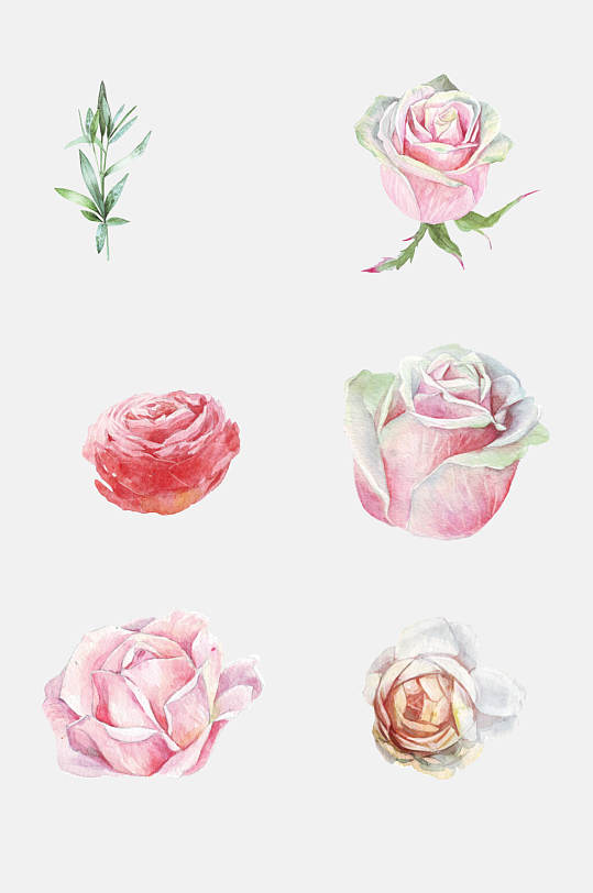 装饰花卉玫瑰花图案设计元素