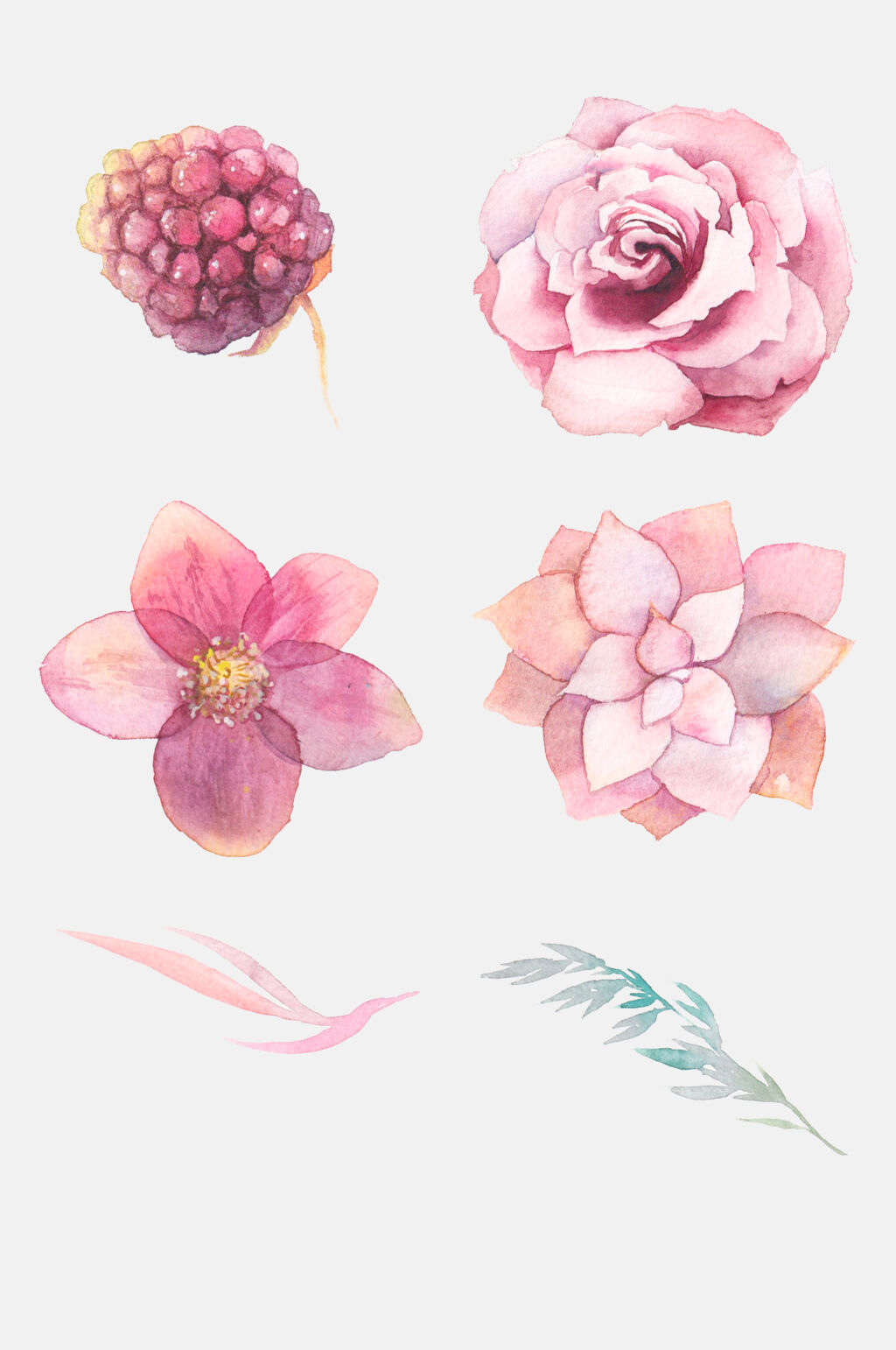 唯美手绘花草元素素材素材
