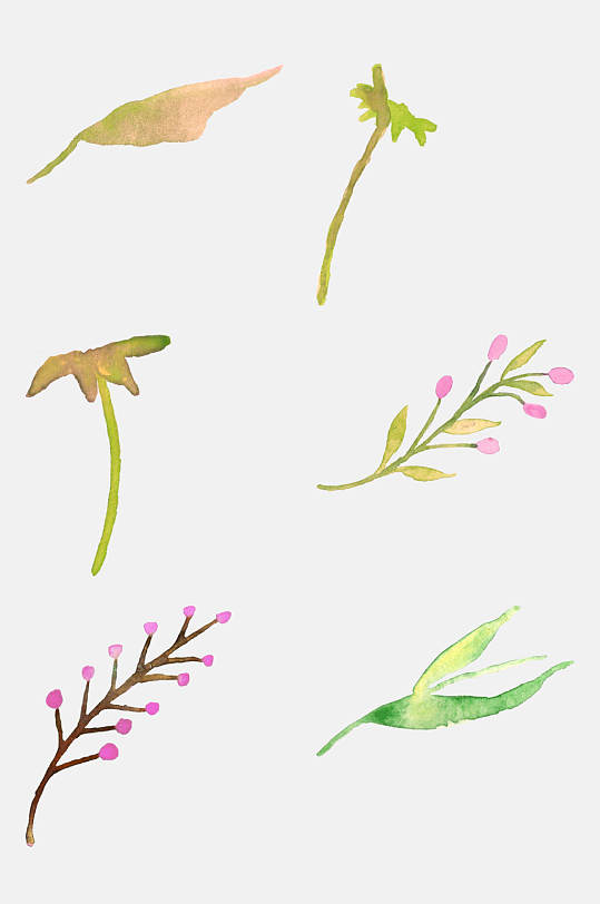 绿叶小清新水彩花草免抠元素素材