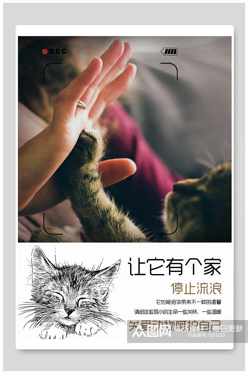 关爱动物流浪猫宣传海报设计素材