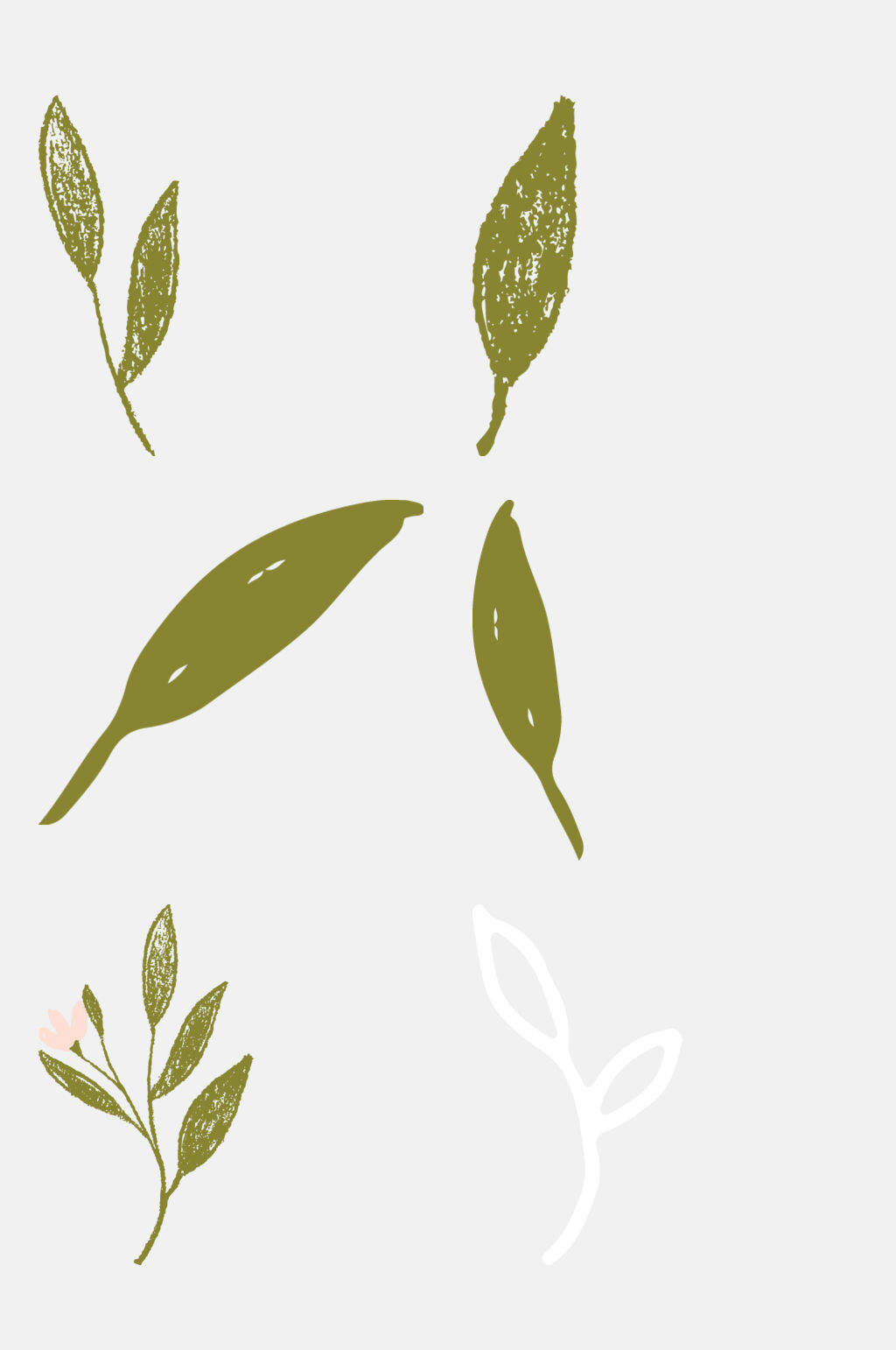 叶子小清新花草元素素材素材