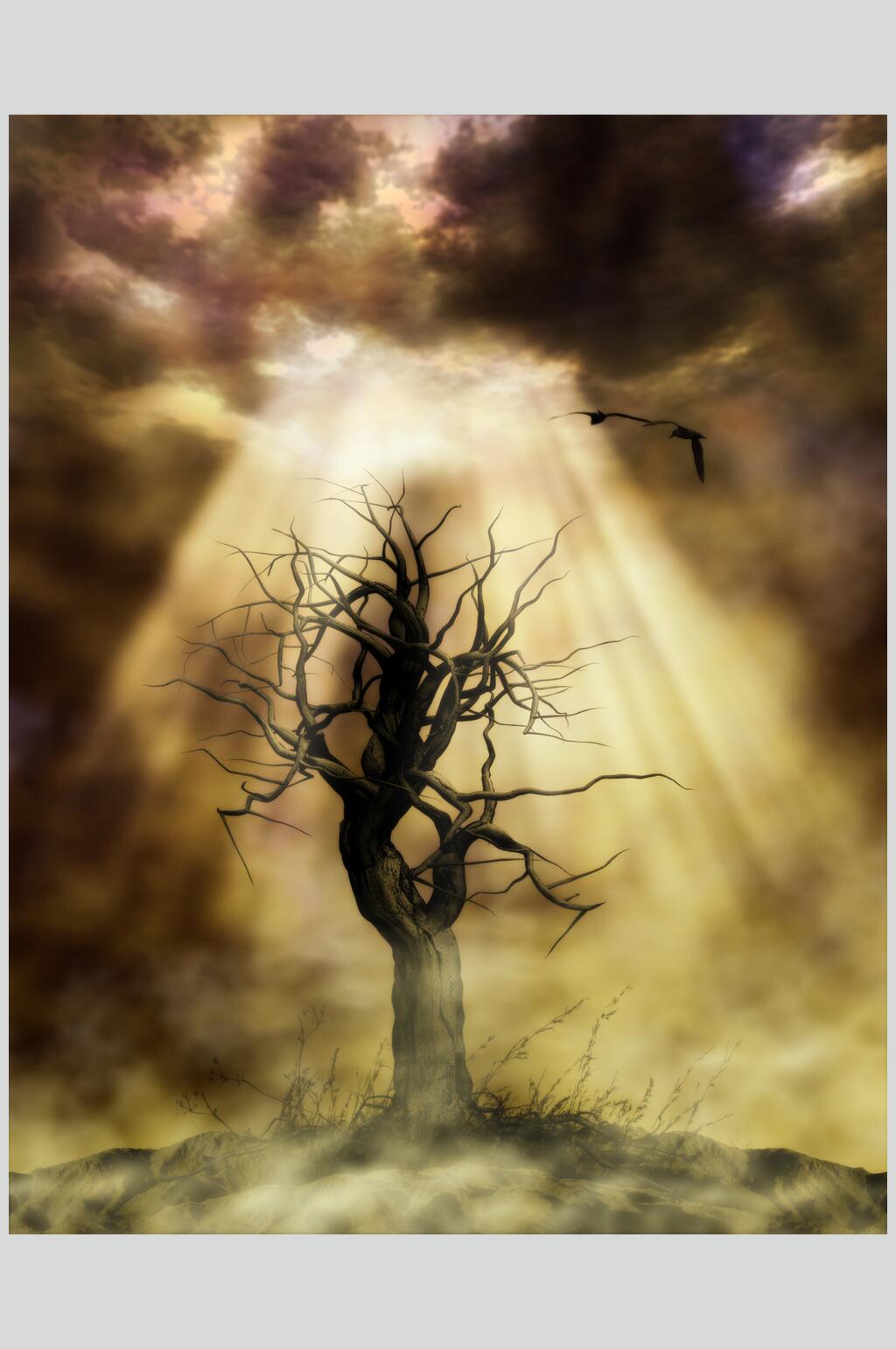 枯树阳光魔幻暗黑CG场景图片素材