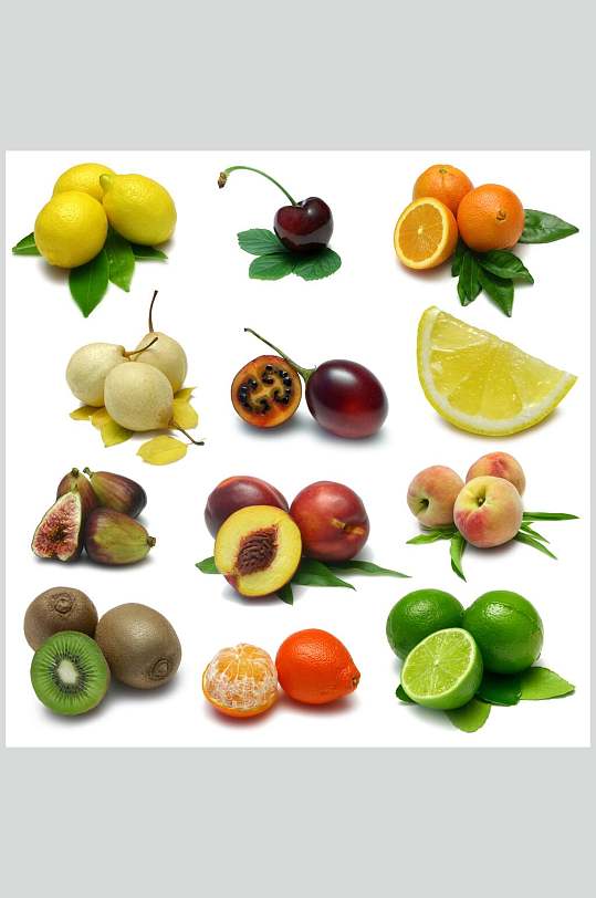 各式新鲜水果图片摄影图