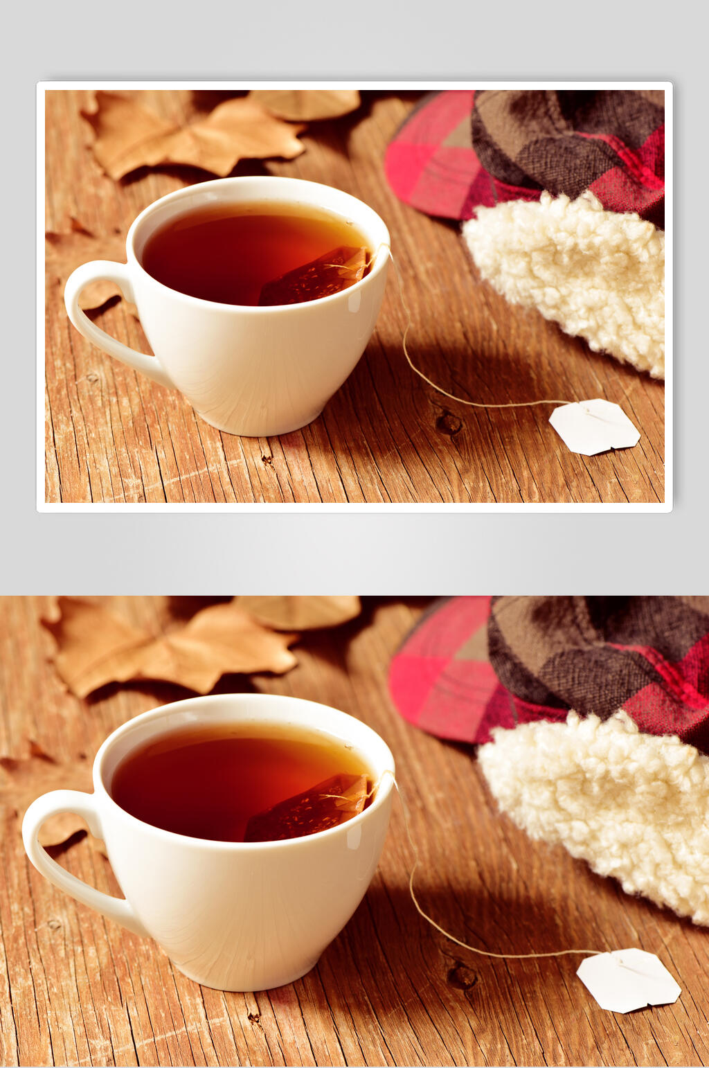 红茶花茶高清图片素材