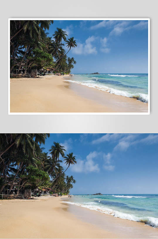 远景椰树沙滩海边高清壁纸