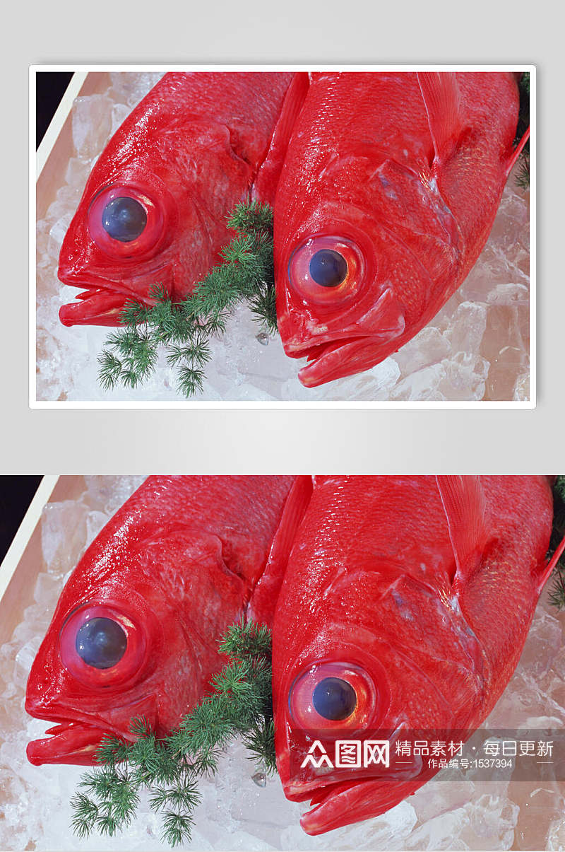 红鱼海鲜美食近景图片素材