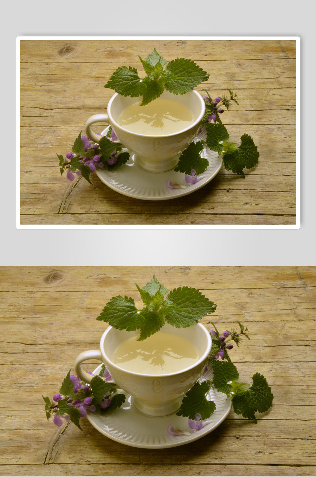 紫罗兰红茶花茶图片素材