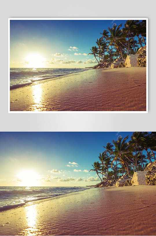 风景壁纸海边沙滩椰树棕榈