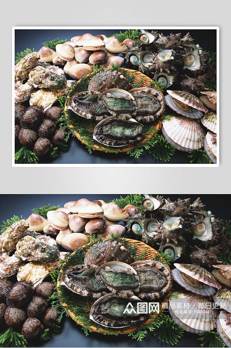 珍珠贝壳海鲜美食图片素材