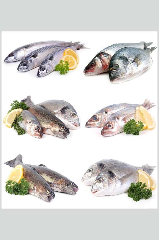 海鱼海鲜水产品高清图片