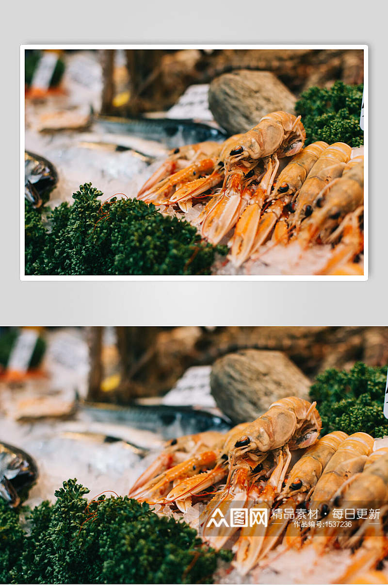 虾海鲜水产品图片素材