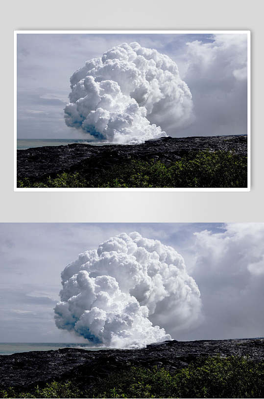蘑菇贴图片-蘑菇贴素材下载-众图网