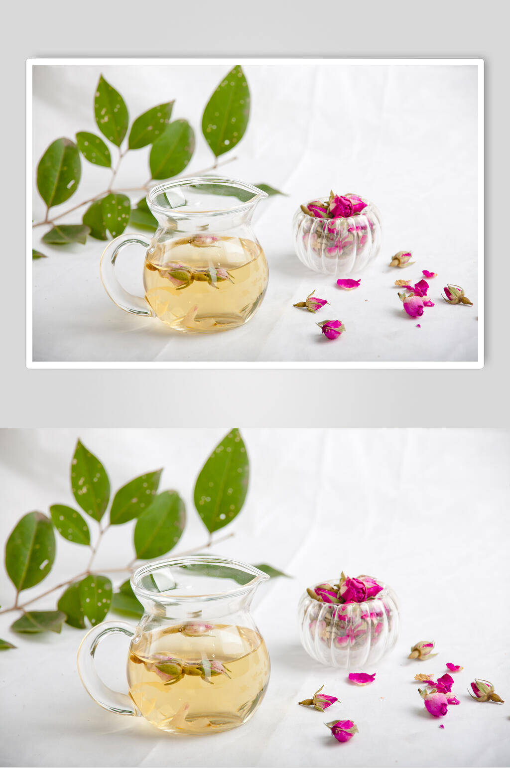 红茶花茶图片健康休闲摄影图素材