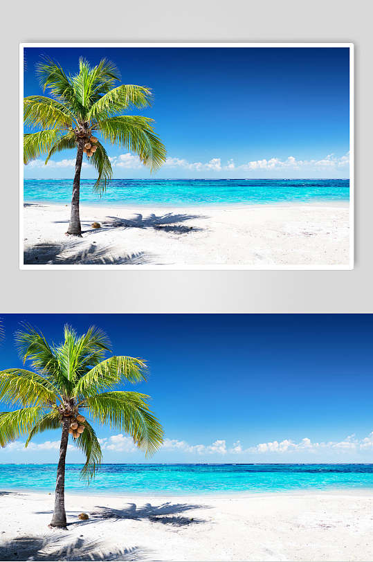 游艇背景墙立即下载高清唯美图片海边沙滩椰树棕榈蓝天白云沙滩大海