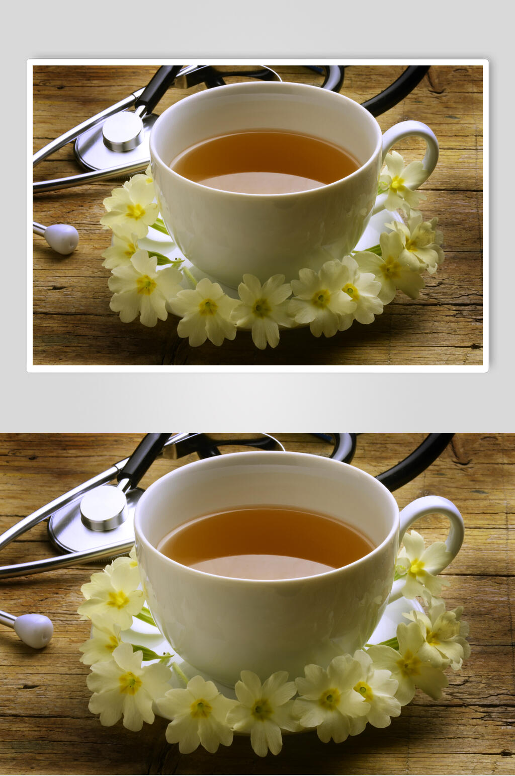 红茶花茶高清图片素材