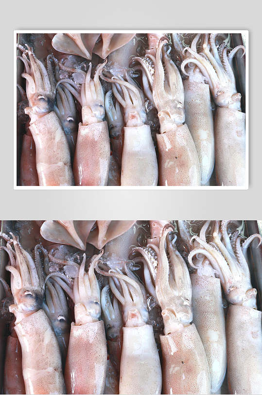 海鲜水产品鱿鱼局部图片