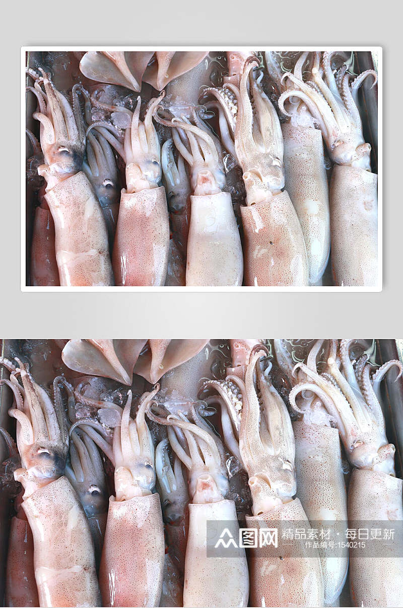 海鲜水产品鱿鱼局部图片素材