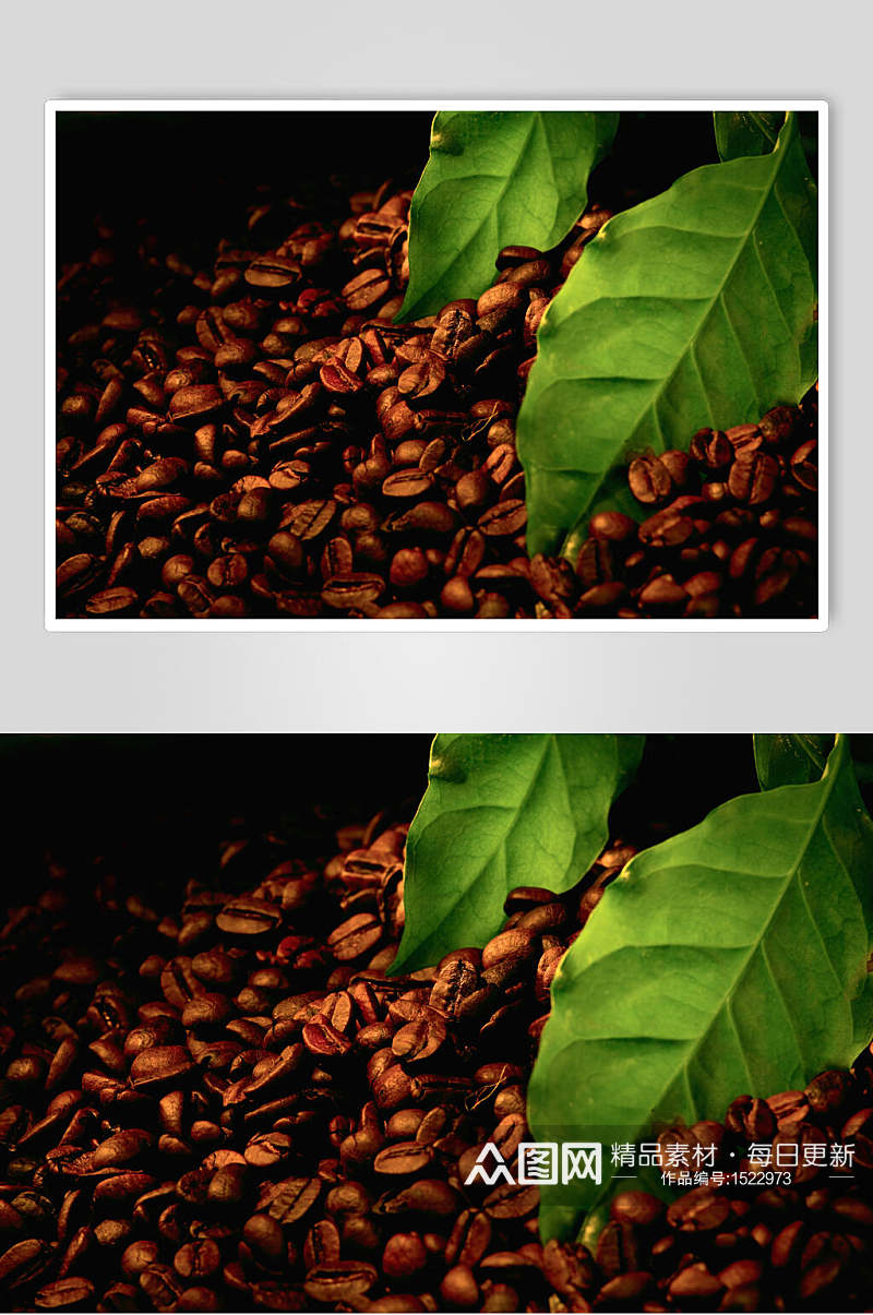 绿叶咖啡豆新品图片素材