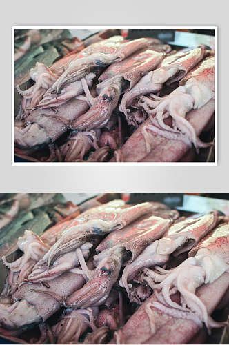 鱿鱼海鲜水产品高清图片