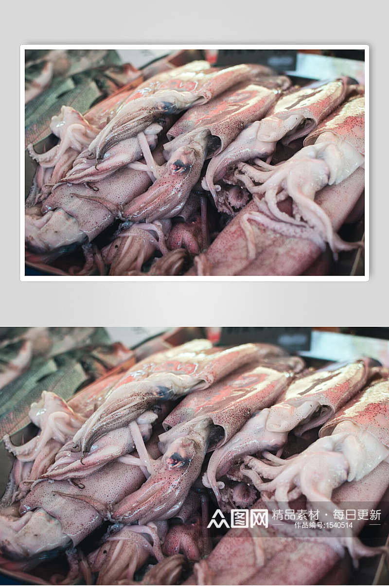 鱿鱼海鲜水产品高清图片素材