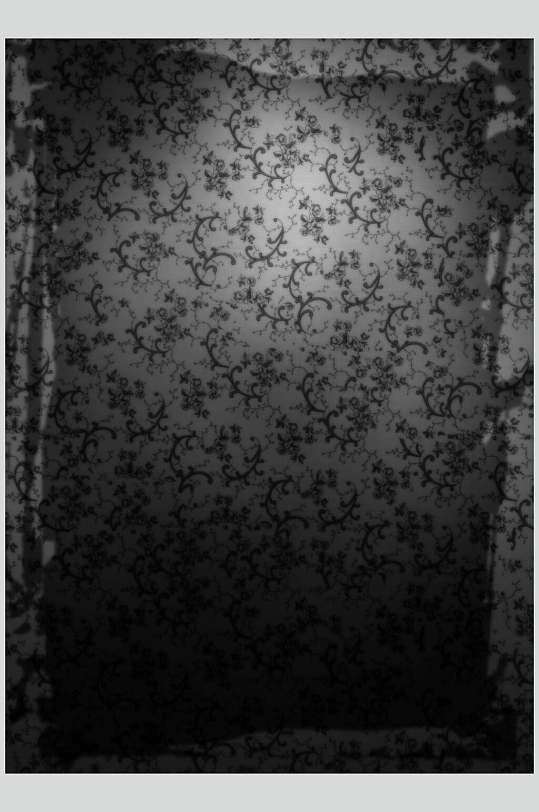 黑色哥特风室内蕾丝花纹图片