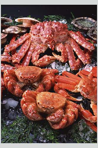 海鲜美食图片螃蟹摄影图