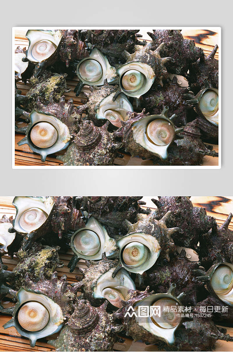 海螺海鲜美食图片素材