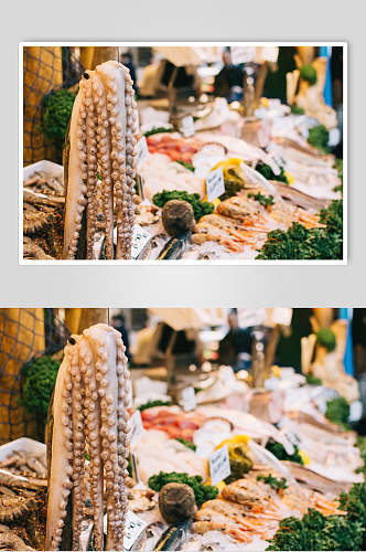 鱿鱼海鲜水产品特写图片